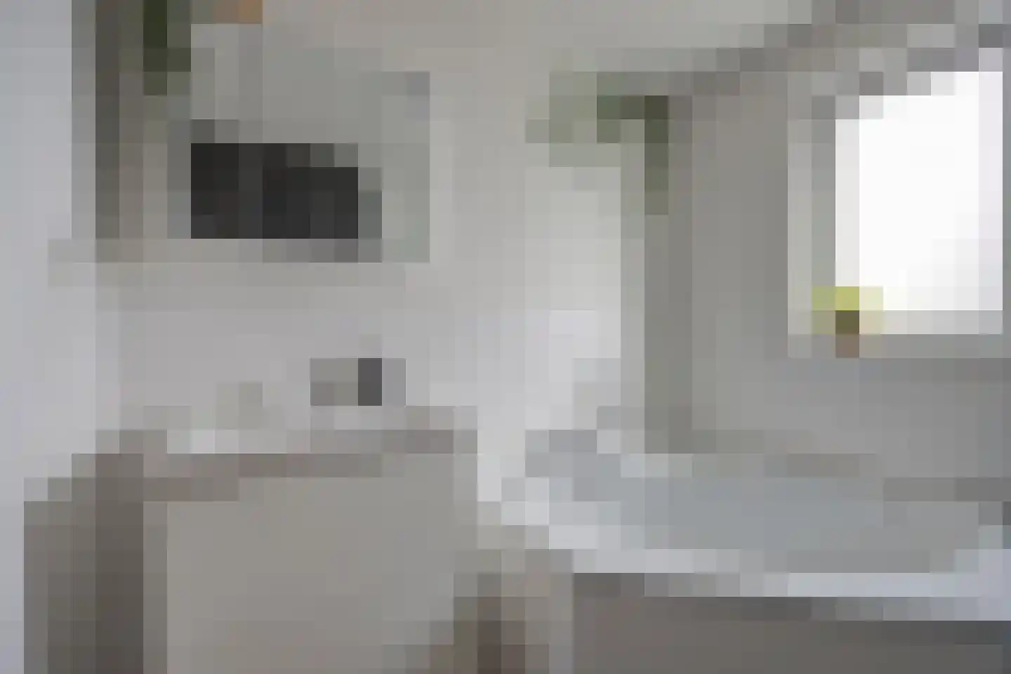 Orangerie 8 Etten-Leur thumbnail 28