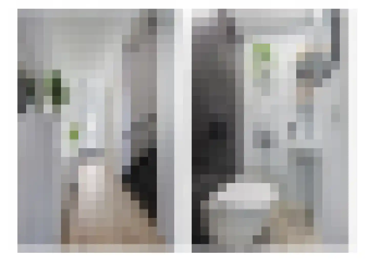 Orangerie 8 Etten-Leur thumbnail 5