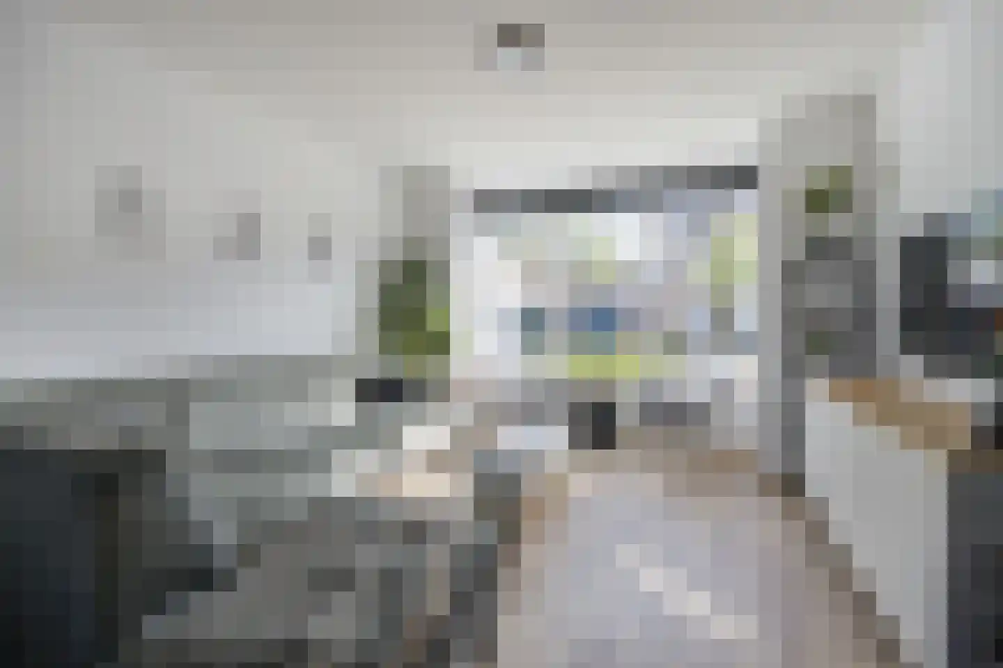 Orangerie 8 Etten-Leur thumbnail 7