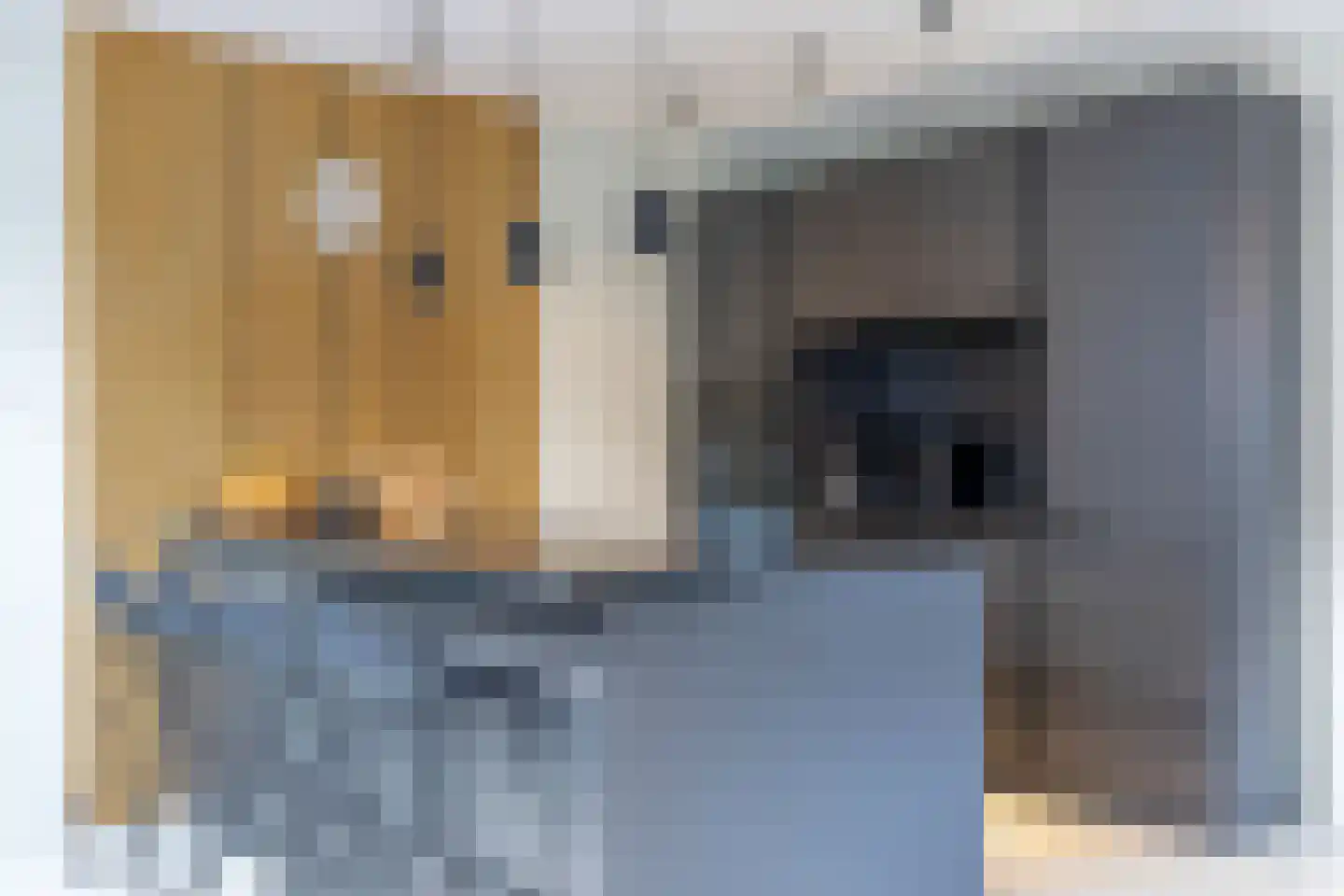 Orangerielaan 5 Hilversum thumbnail 22
