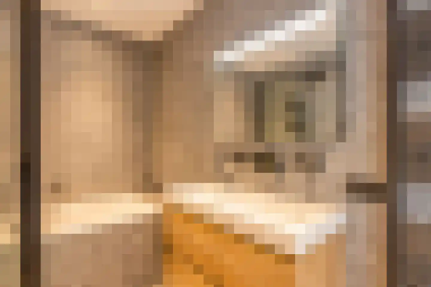 Orangerielaan 5 Hilversum thumbnail 35
