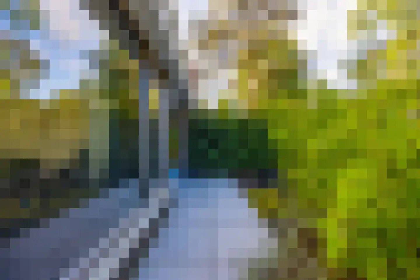 Orangerielaan 5 Hilversum thumbnail 6