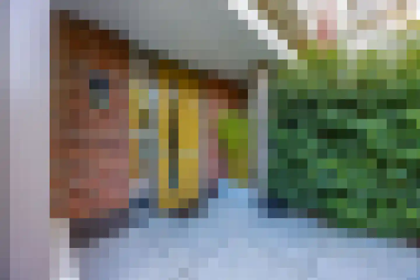 Orangerielaan 5 Hilversum thumbnail 8