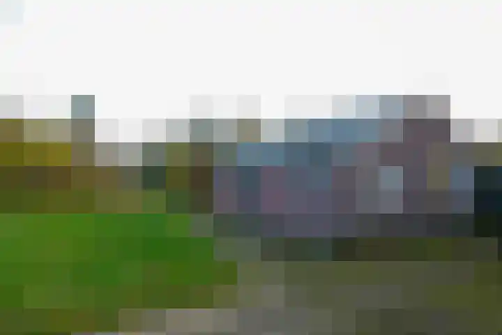 Oranje 45 Oranje thumbnail 22