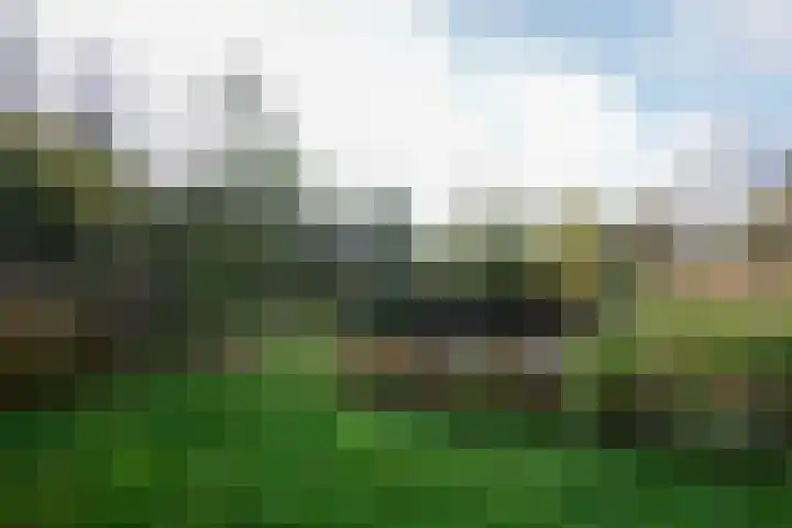 Oranje 45 Oranje thumbnail 36