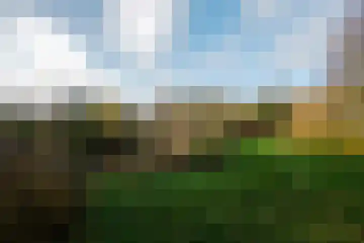 Oranje 45 Oranje thumbnail 37