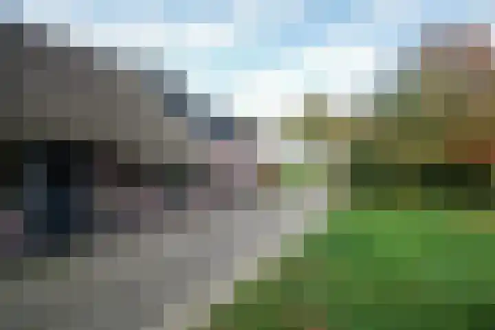 Oranje 45 Oranje thumbnail 38