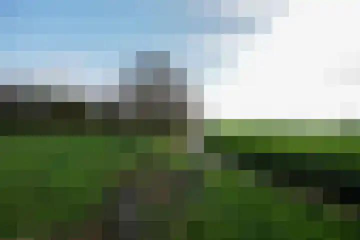 Oranje 45 Oranje thumbnail 42