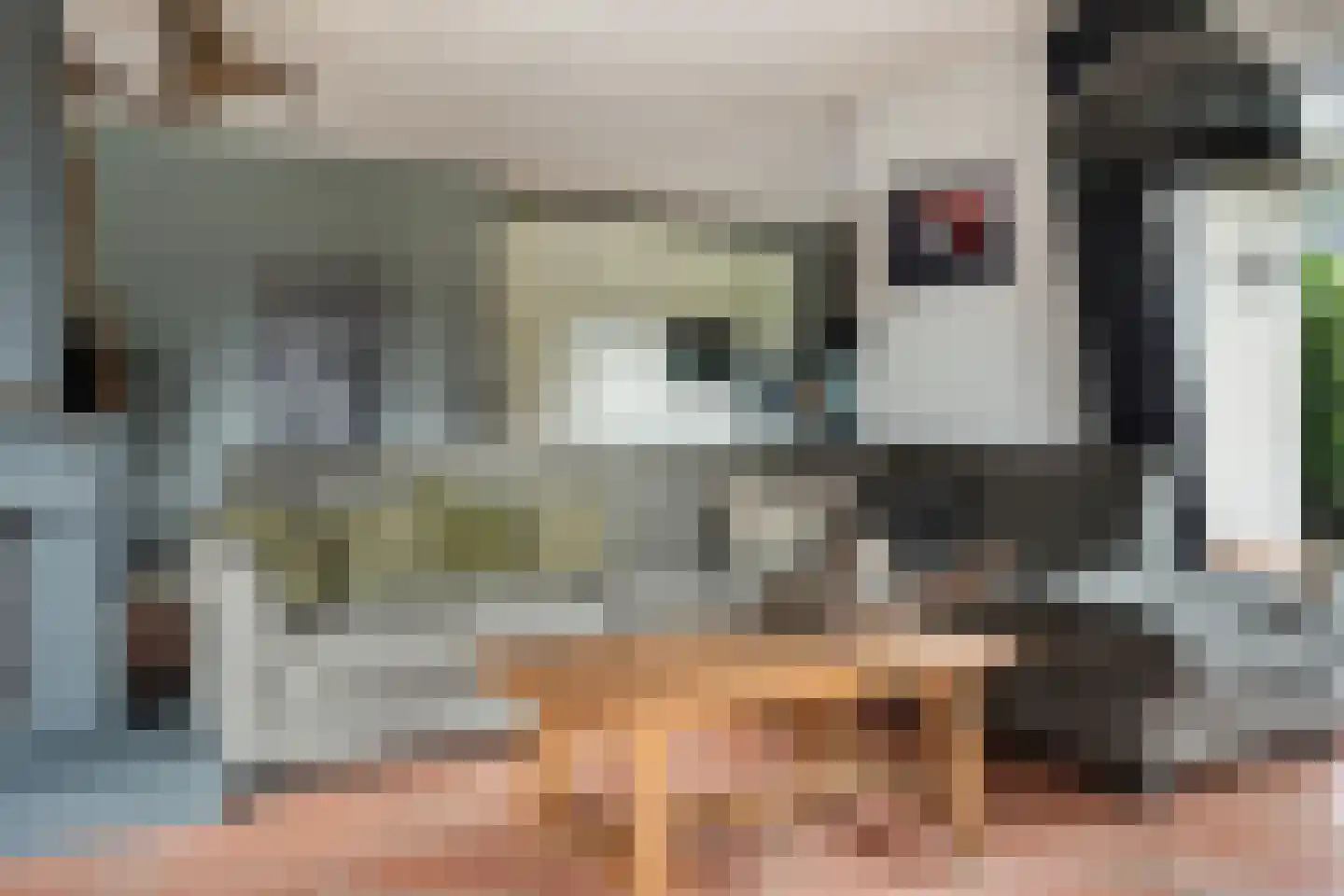 Oranje 7 Oranje thumbnail 22