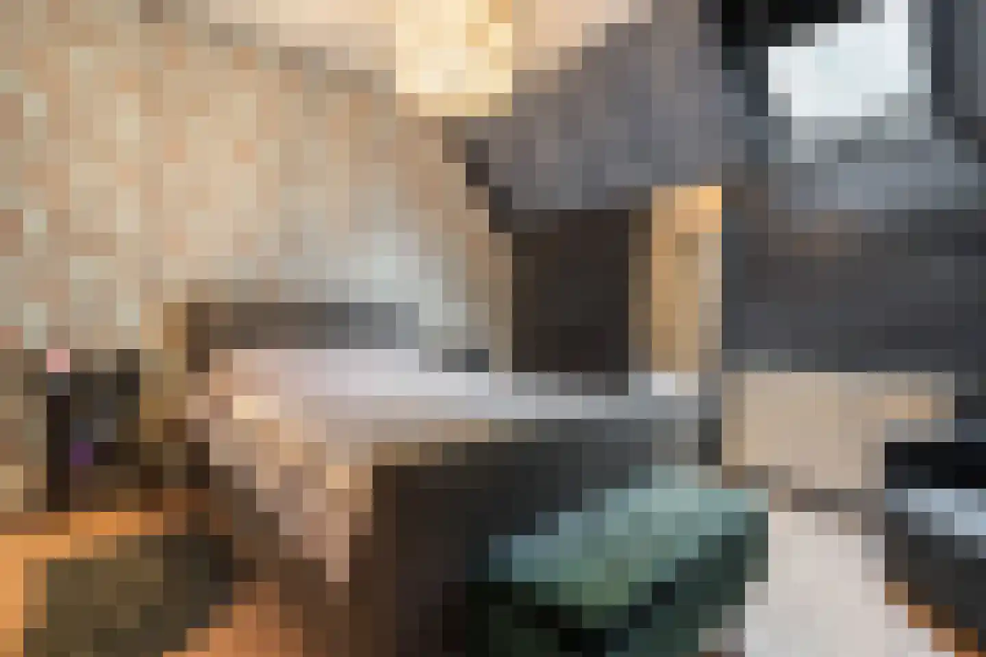 Oranje 7 Oranje thumbnail 33