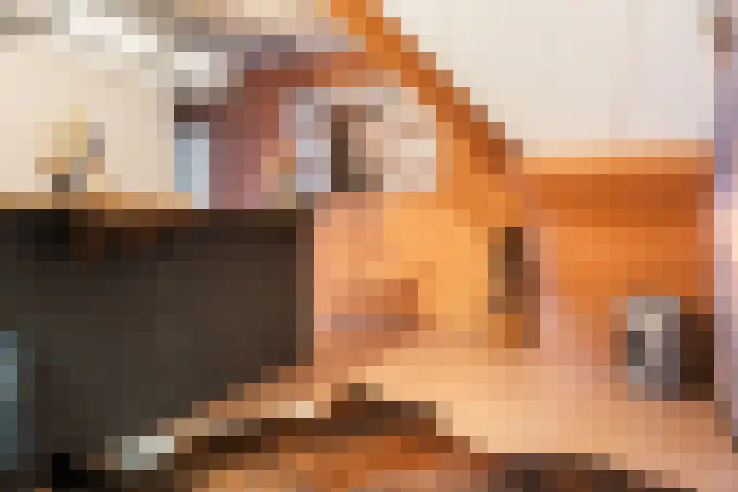 Oranje 7 Oranje thumbnail 38