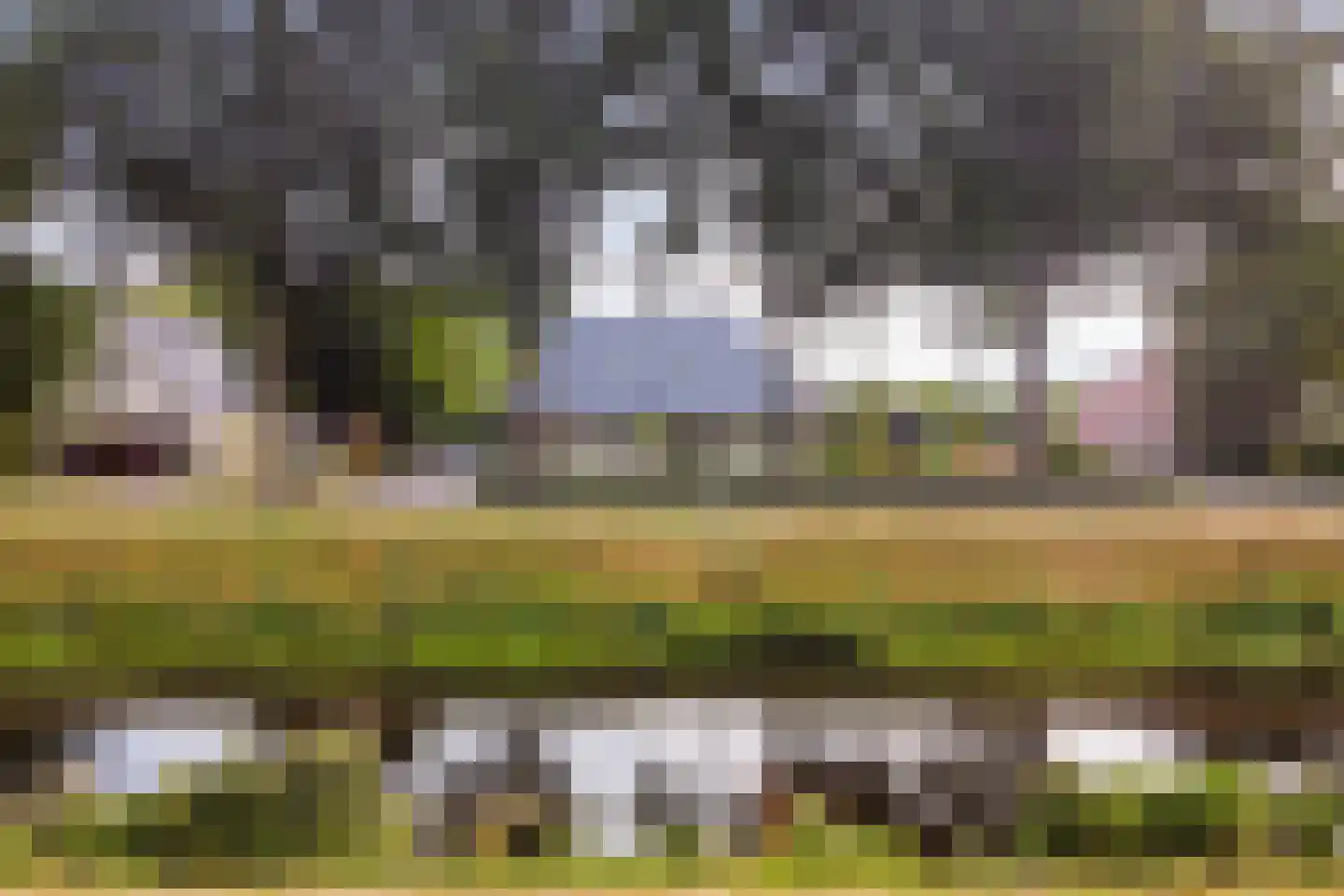 Oranje 7 Oranje thumbnail 4