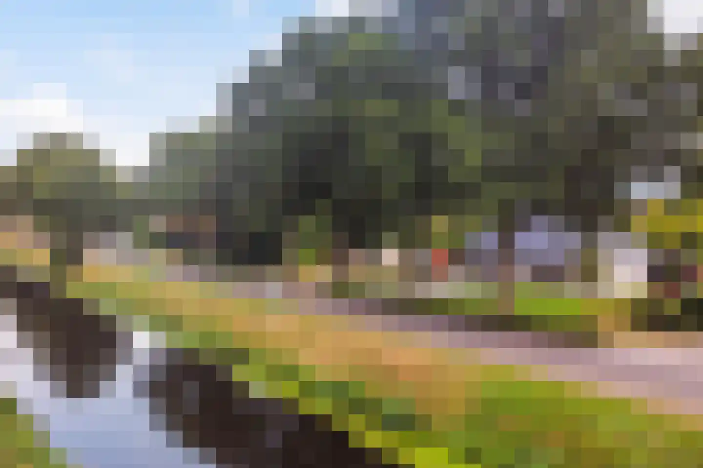 Oranje 7 Oranje thumbnail 7
