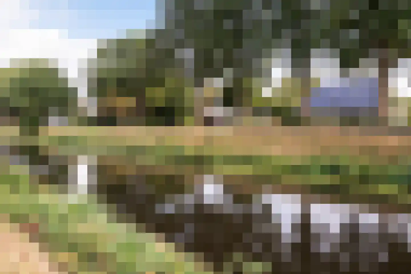 Oranje 7 Oranje thumbnail 8