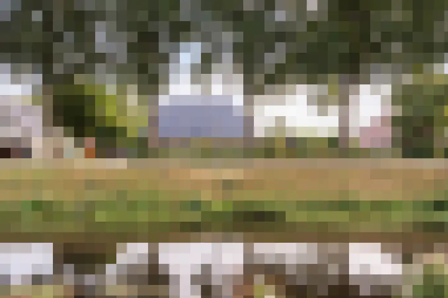 Oranje 7 Oranje thumbnail 9