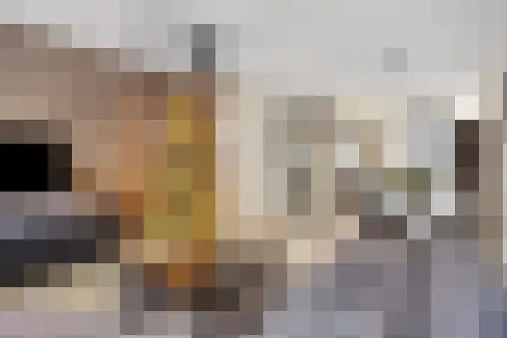 Oranje-Bastion 13 b Grave thumbnail 16