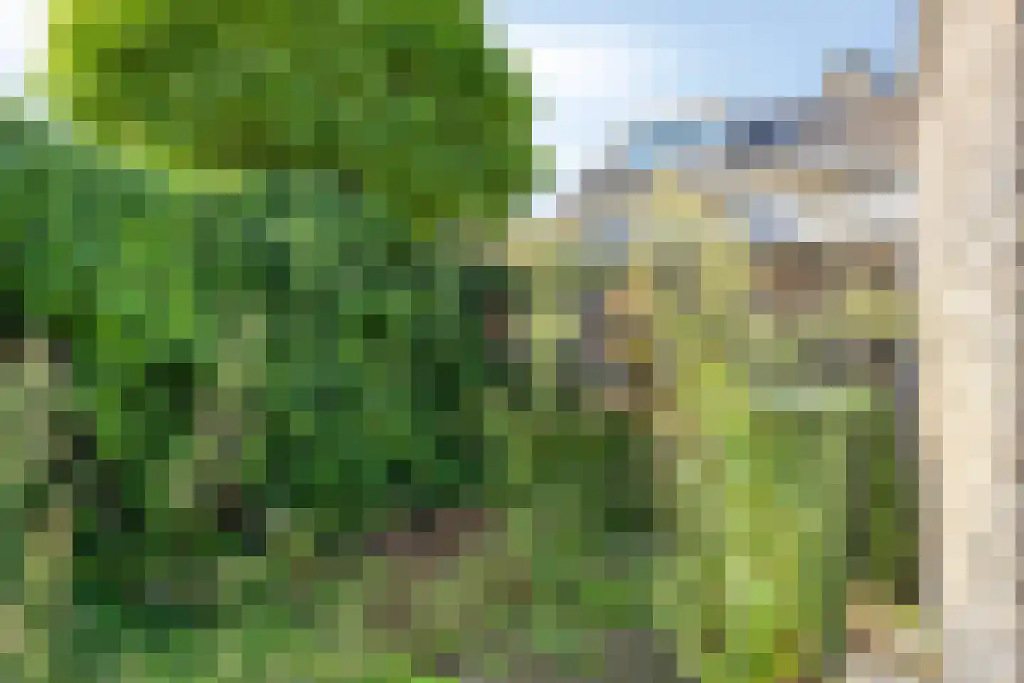 Oranje-Bastion 22 Grave thumbnail 23
