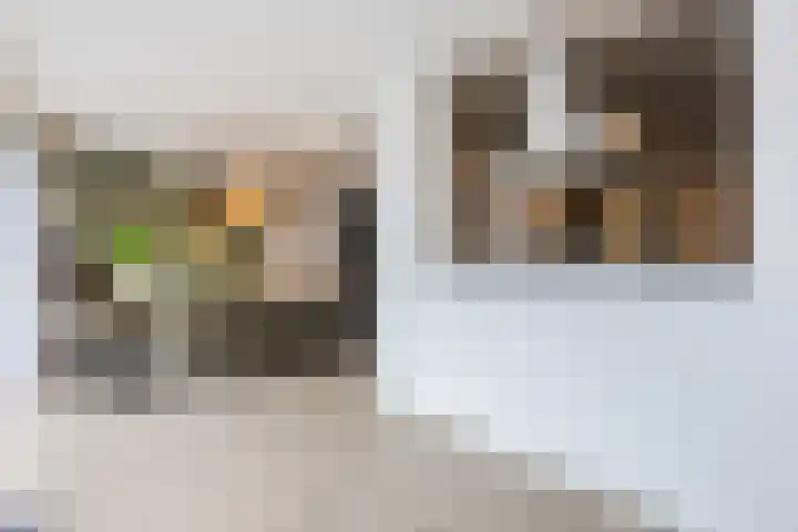 Oranje-Bastion 7 Grave thumbnail 12