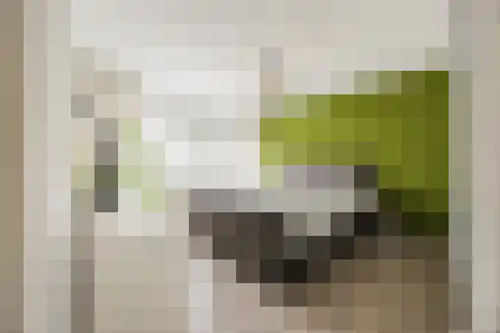 Oranje-Bastion 7 Grave thumbnail 19