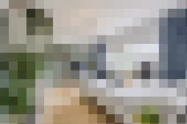 Oranje-Bastion 7 Grave thumbnail 20