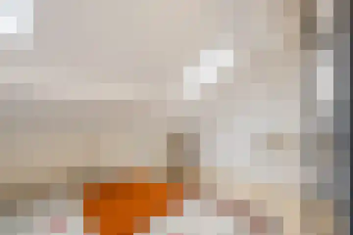 Oranje-Bastion 7 Grave thumbnail 31