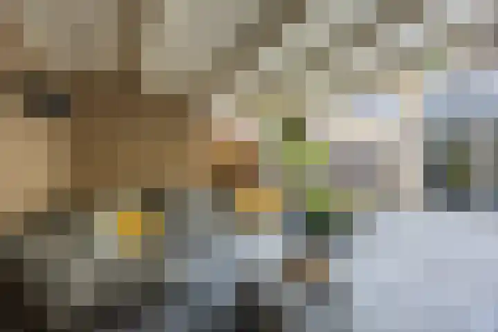 Oranje-Bastion 7 Grave thumbnail 39