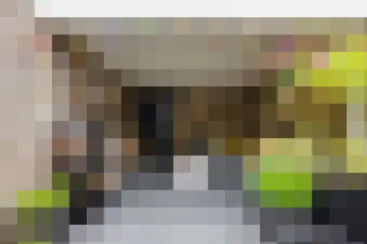 Oranje-Bastion 7 Grave thumbnail 40