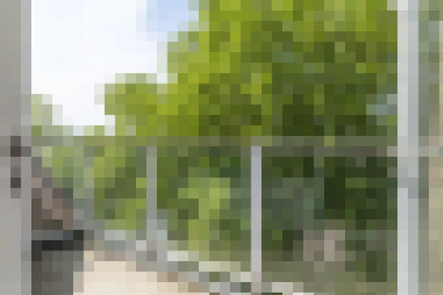 Oranje Nassau 78 Valkenburg thumbnail 18