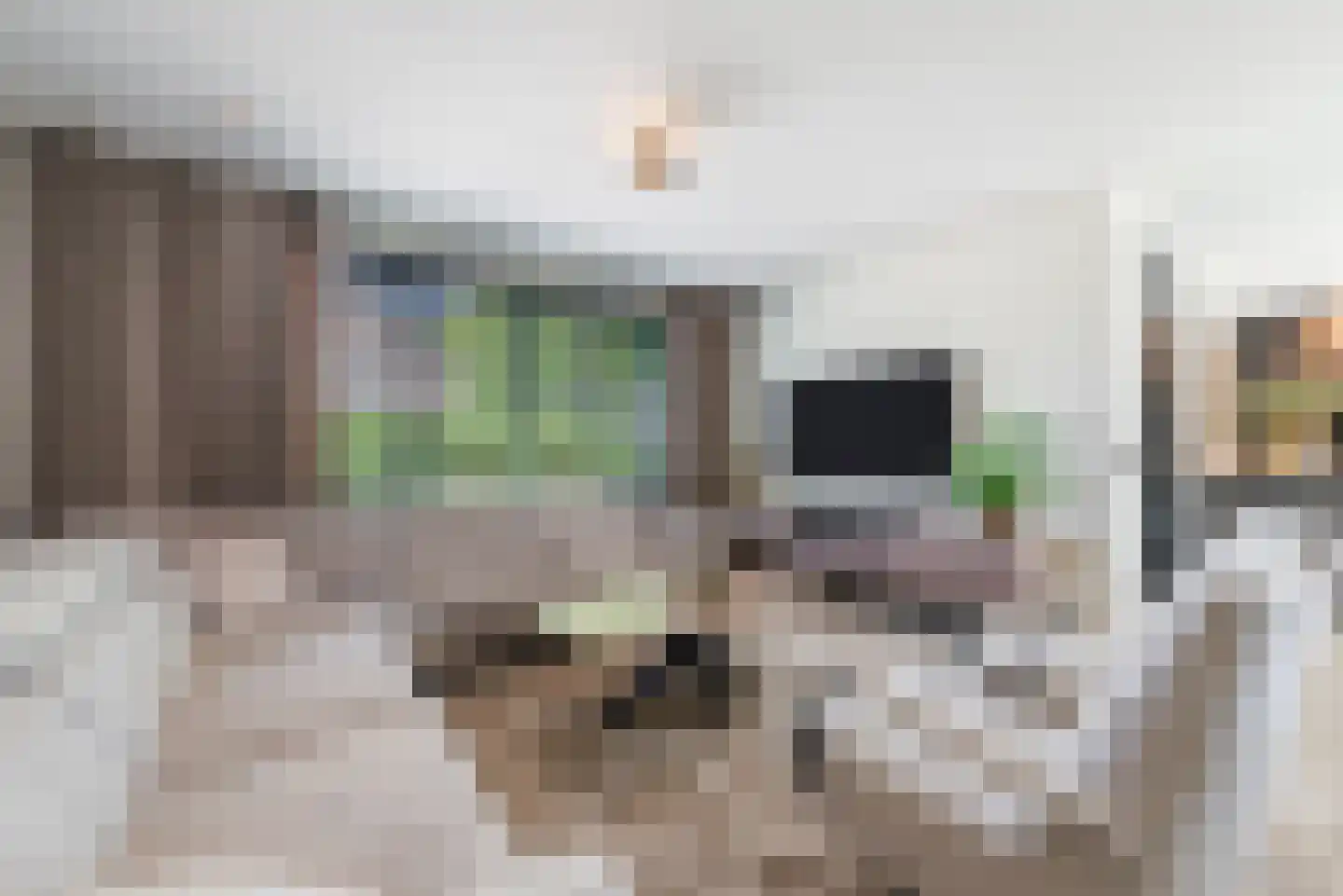 Oranje Nassaulaan 1 A Bladel thumbnail 10