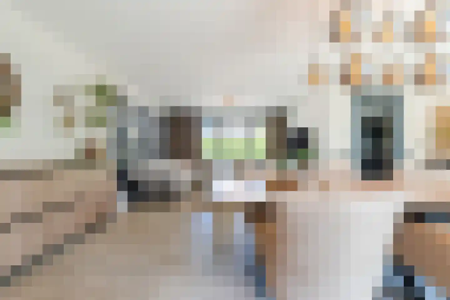 Oranje Nassaulaan 1 A Bladel thumbnail 17