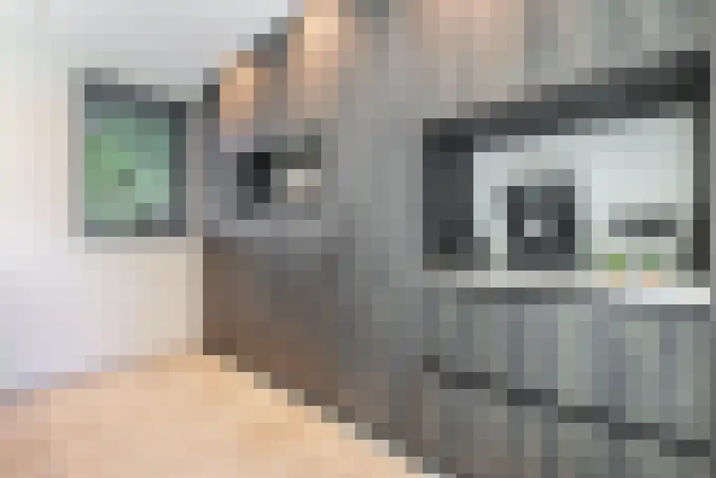 Oranje Nassaulaan 1 A Bladel thumbnail 22