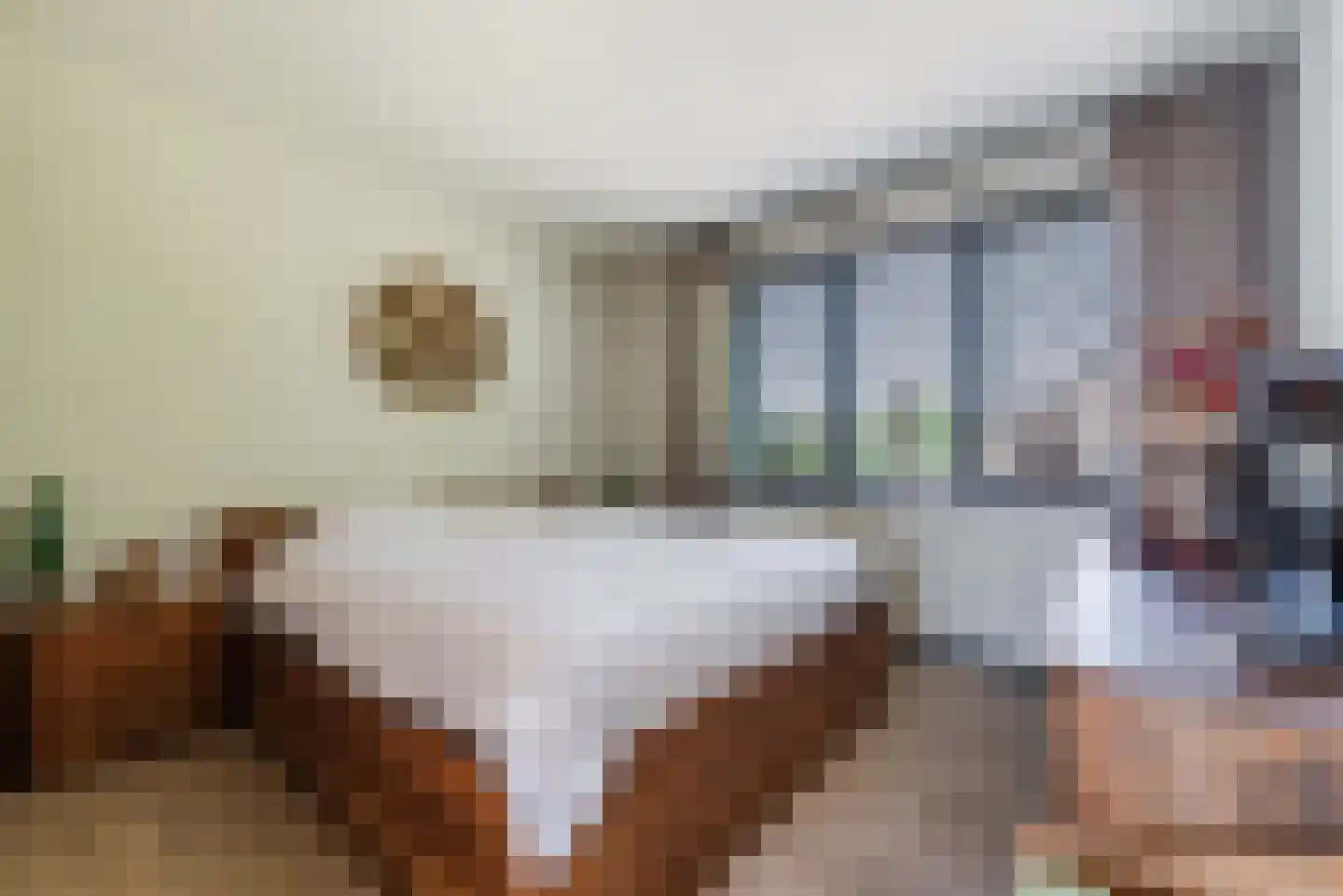 Oranje Nassaulaan 1 A Bladel thumbnail 28