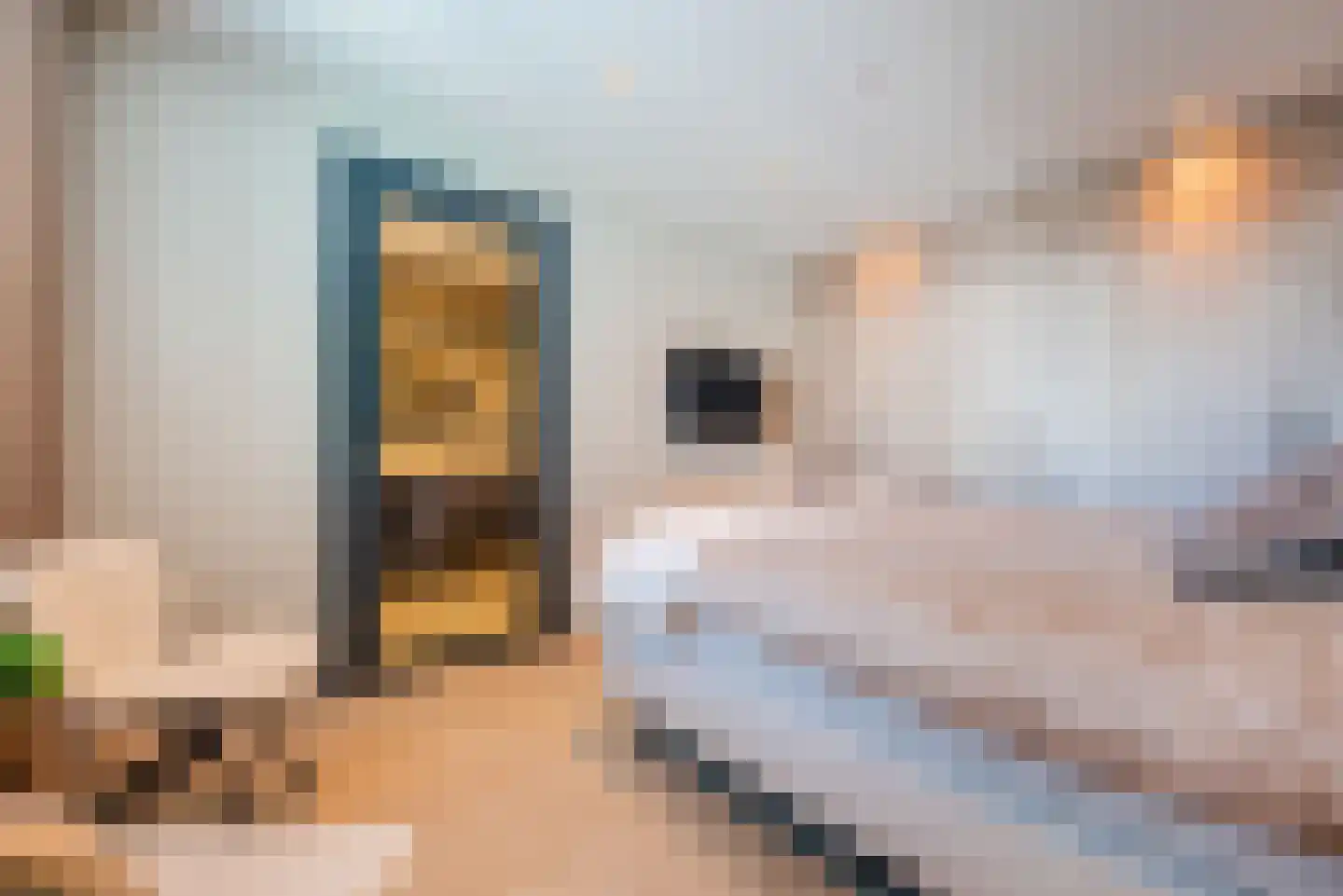 Oranje Nassaulaan 1 A Bladel thumbnail 36