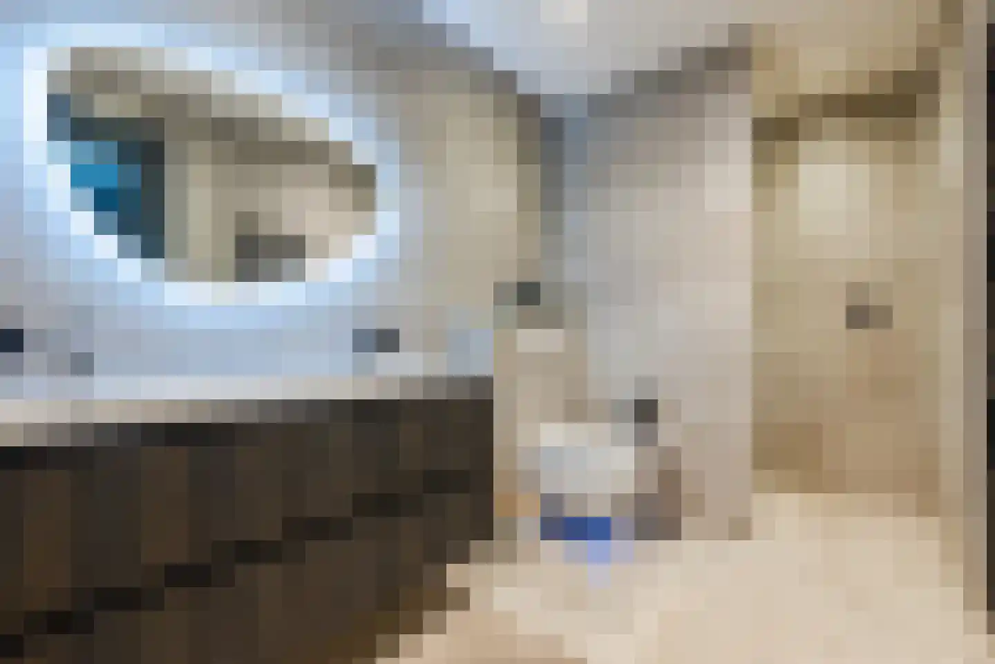 Oranje Nassaulaan 1 A Bladel thumbnail 44