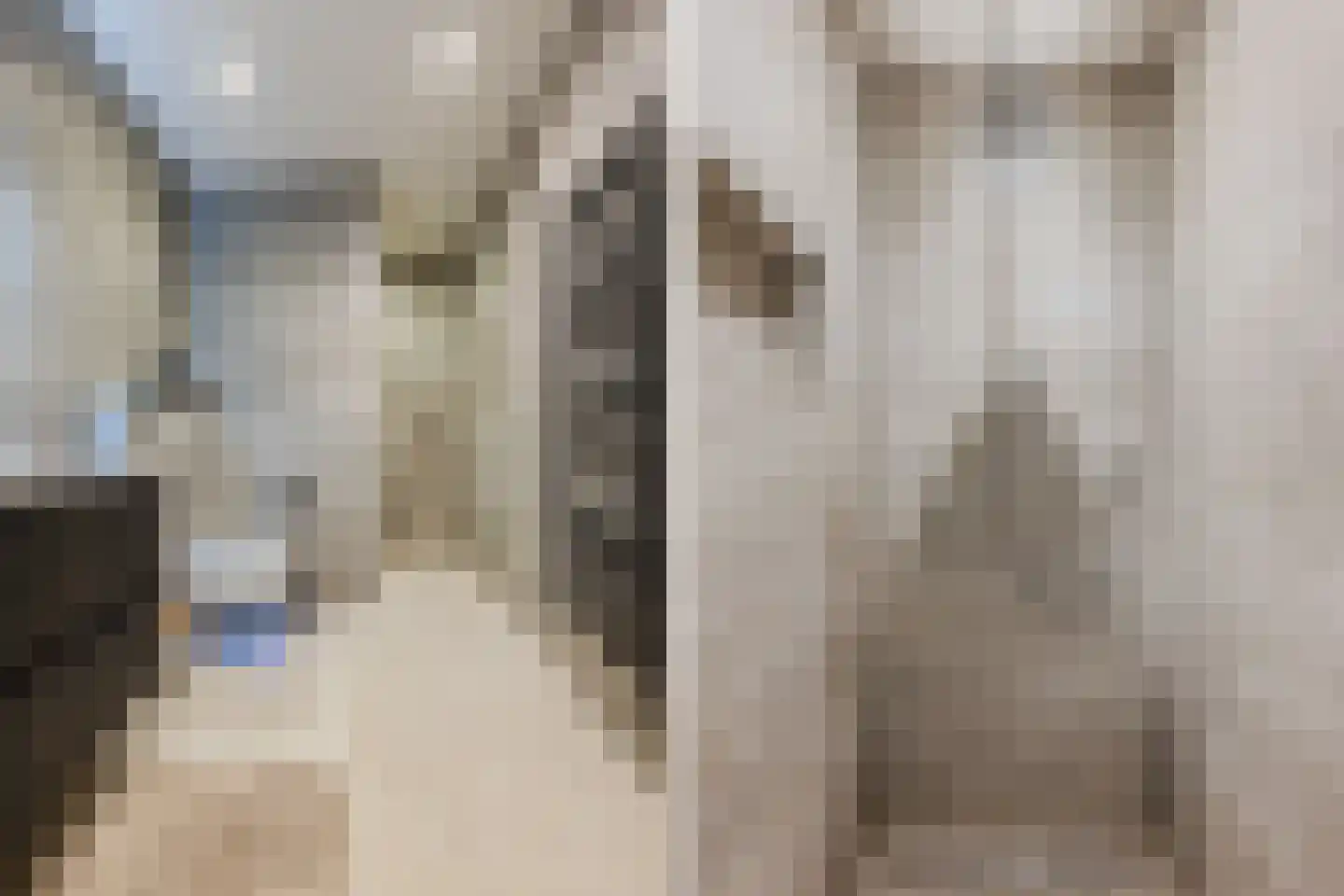Oranje Nassaulaan 1 A Bladel thumbnail 48