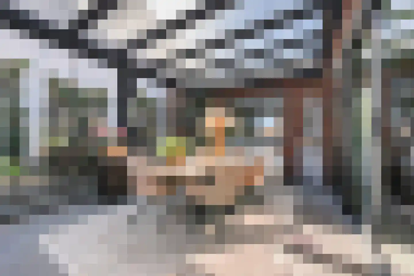 Oranje Nassaulaan 1 A Bladel thumbnail 49