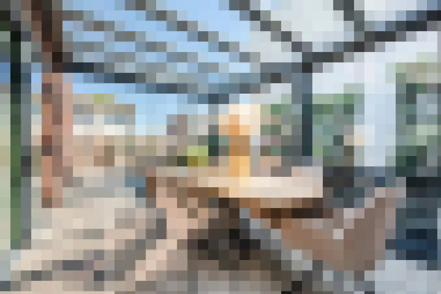 Oranje Nassaulaan 1 A Bladel thumbnail 50