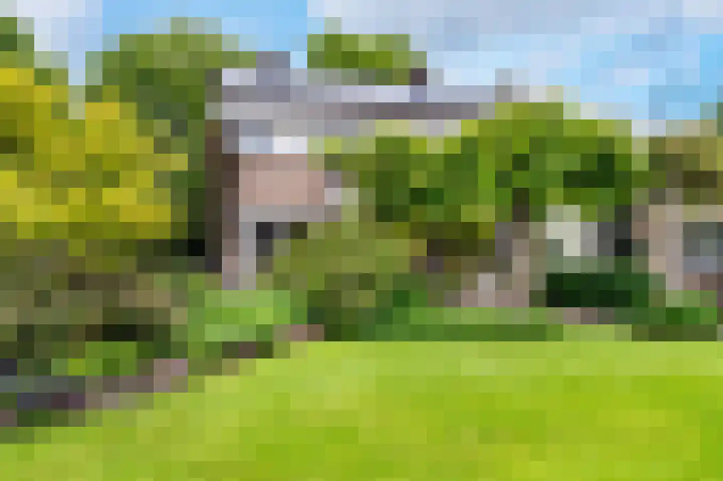 Oranje-Nassaulaan 1 Sint-Oedenrode thumbnail 50