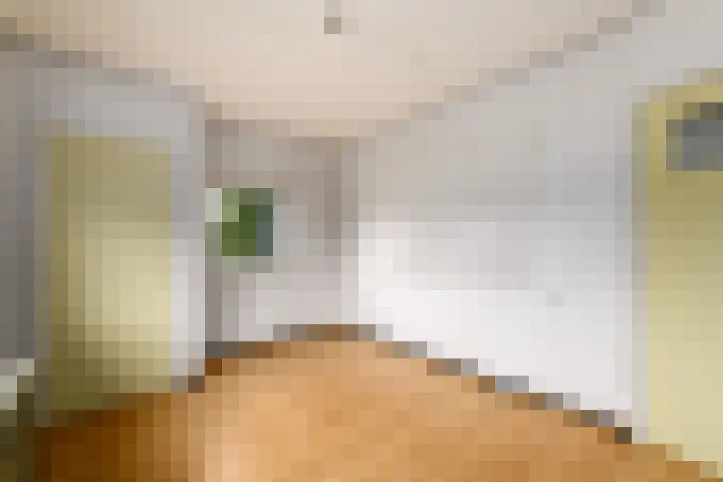 Oranje Nassaulaan 1 Wolvega thumbnail 20