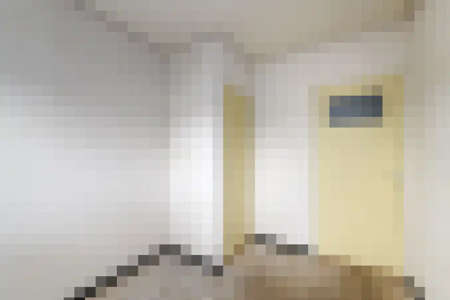 Oranje Nassaulaan 1 Wolvega thumbnail 23