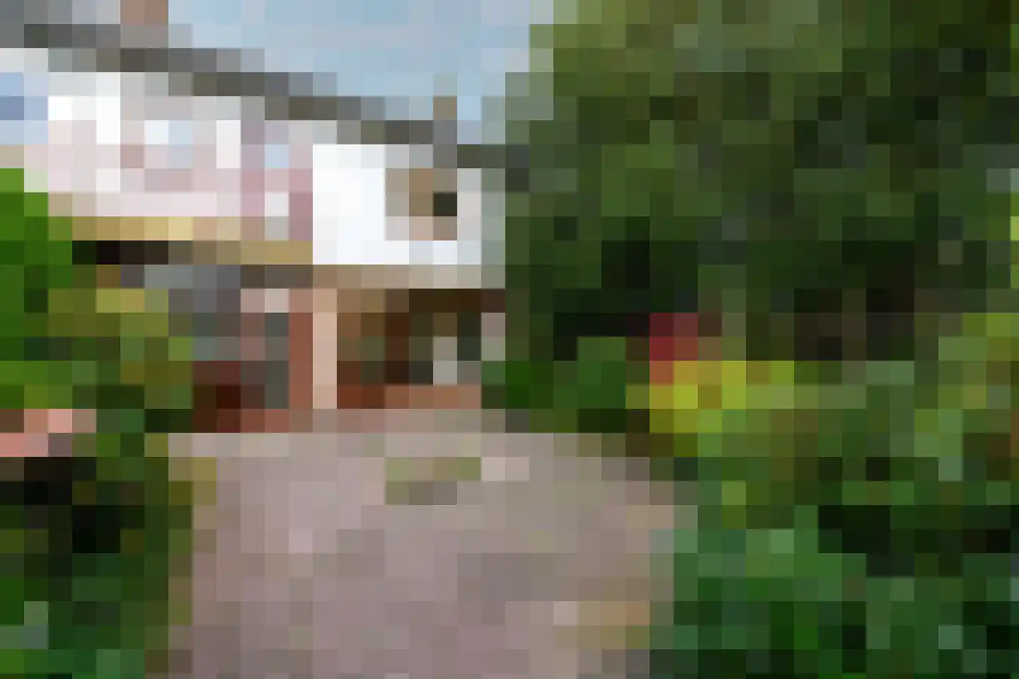 Oranje Nassaulaan 1 Wolvega thumbnail 27