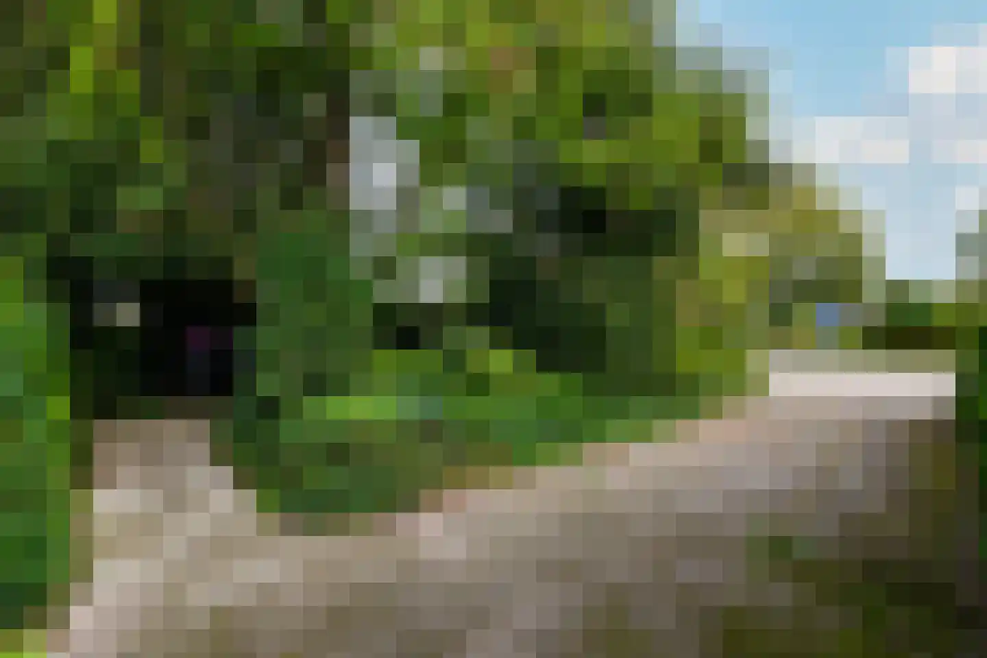 Oranje Nassaulaan 1 Wolvega thumbnail 35