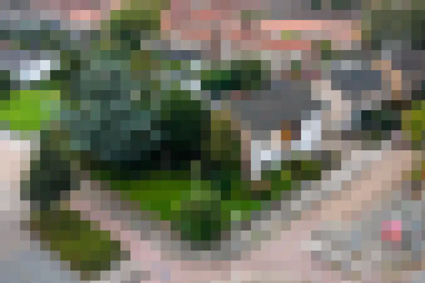 Oranje Nassaulaan 1 Wolvega thumbnail 4