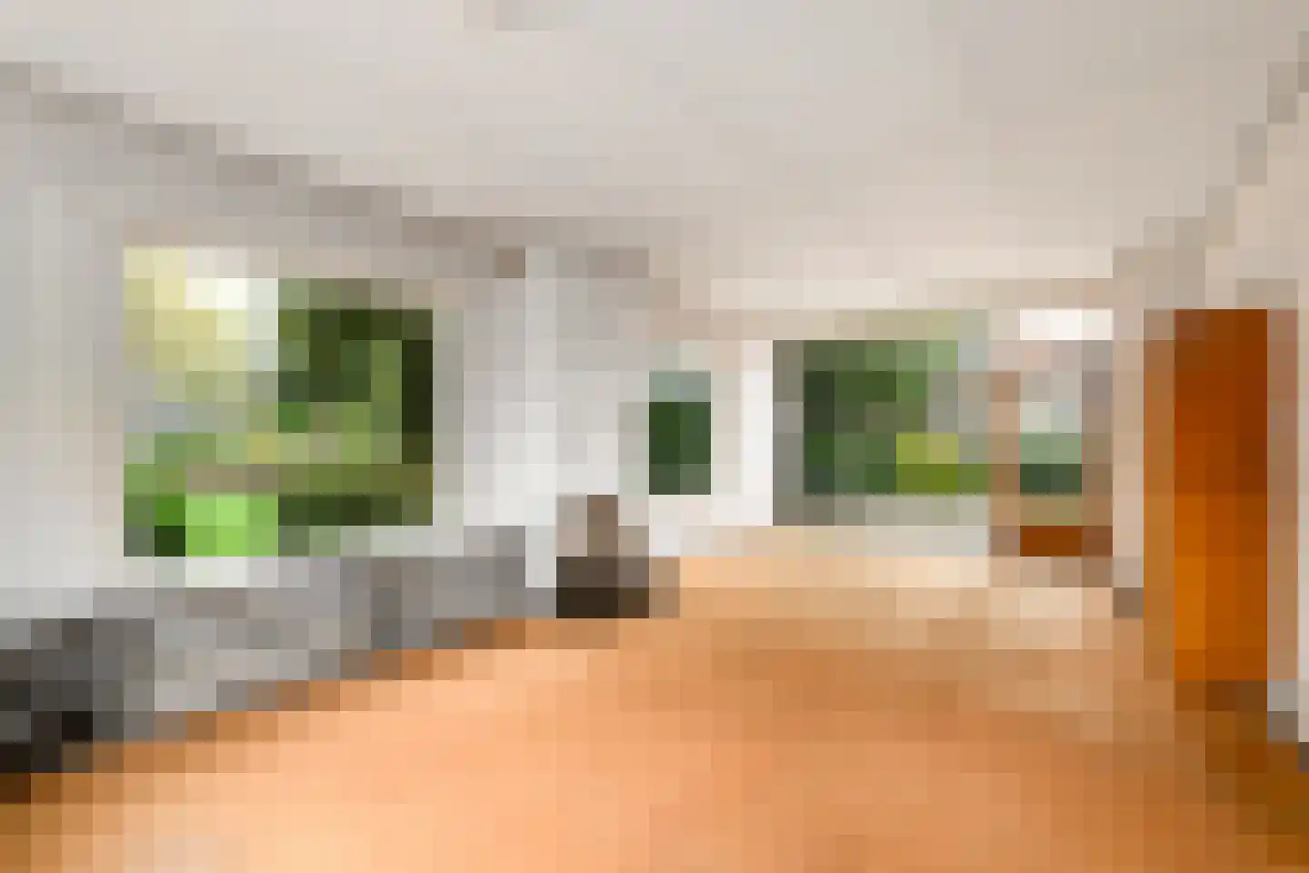 Oranje Nassaulaan 1 Wolvega thumbnail 6