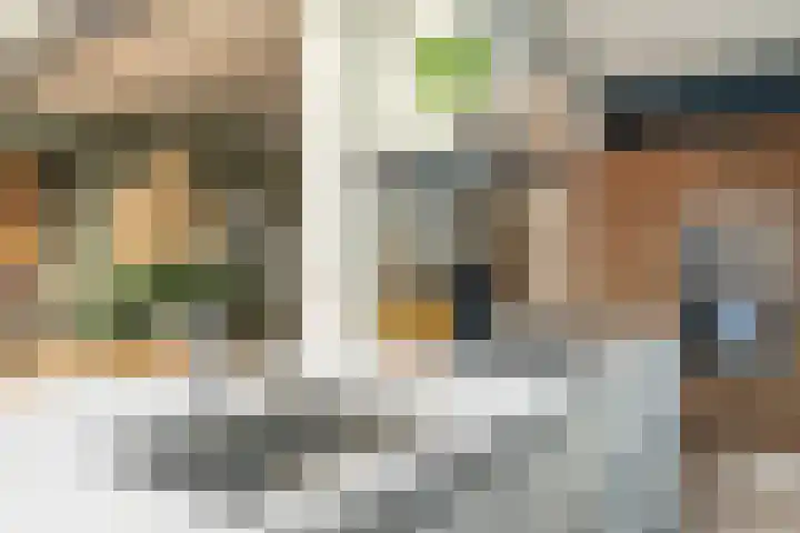 Oranje Nassaulaan 110 Overveen thumbnail 11