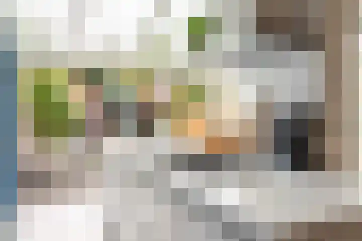 Oranje Nassaulaan 110 Overveen thumbnail 13