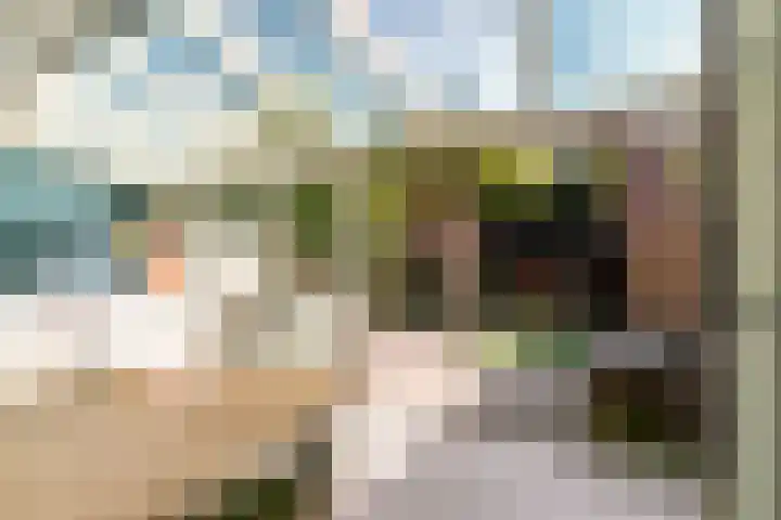 Oranje Nassaulaan 110 Overveen thumbnail 16