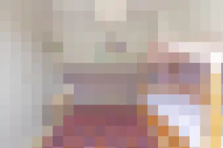 Oranje Nassaulaan 110 Overveen thumbnail 25
