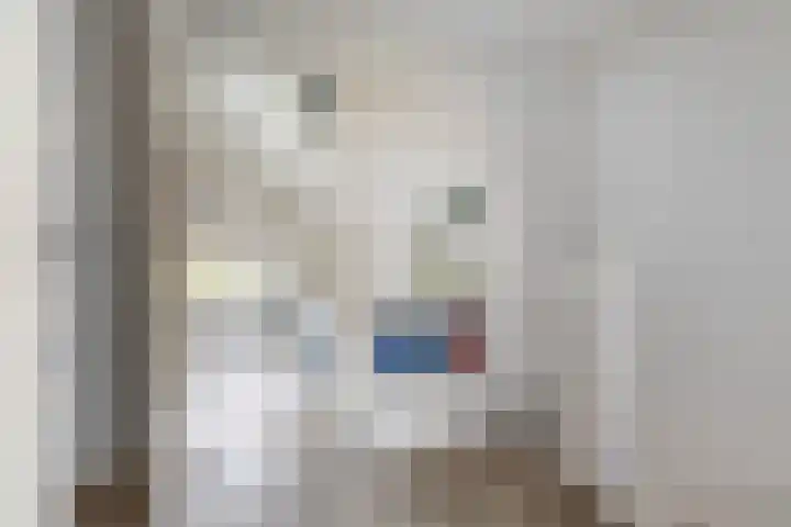 Oranje Nassaulaan 110 Overveen thumbnail 28