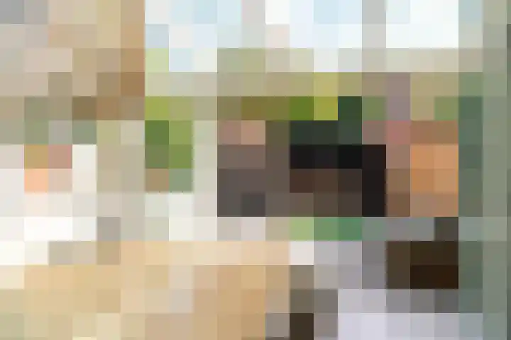 Oranje Nassaulaan 110 Overveen thumbnail 38